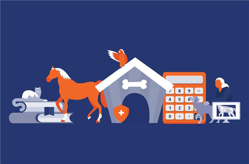 Specialization Feature Graphics_Animal