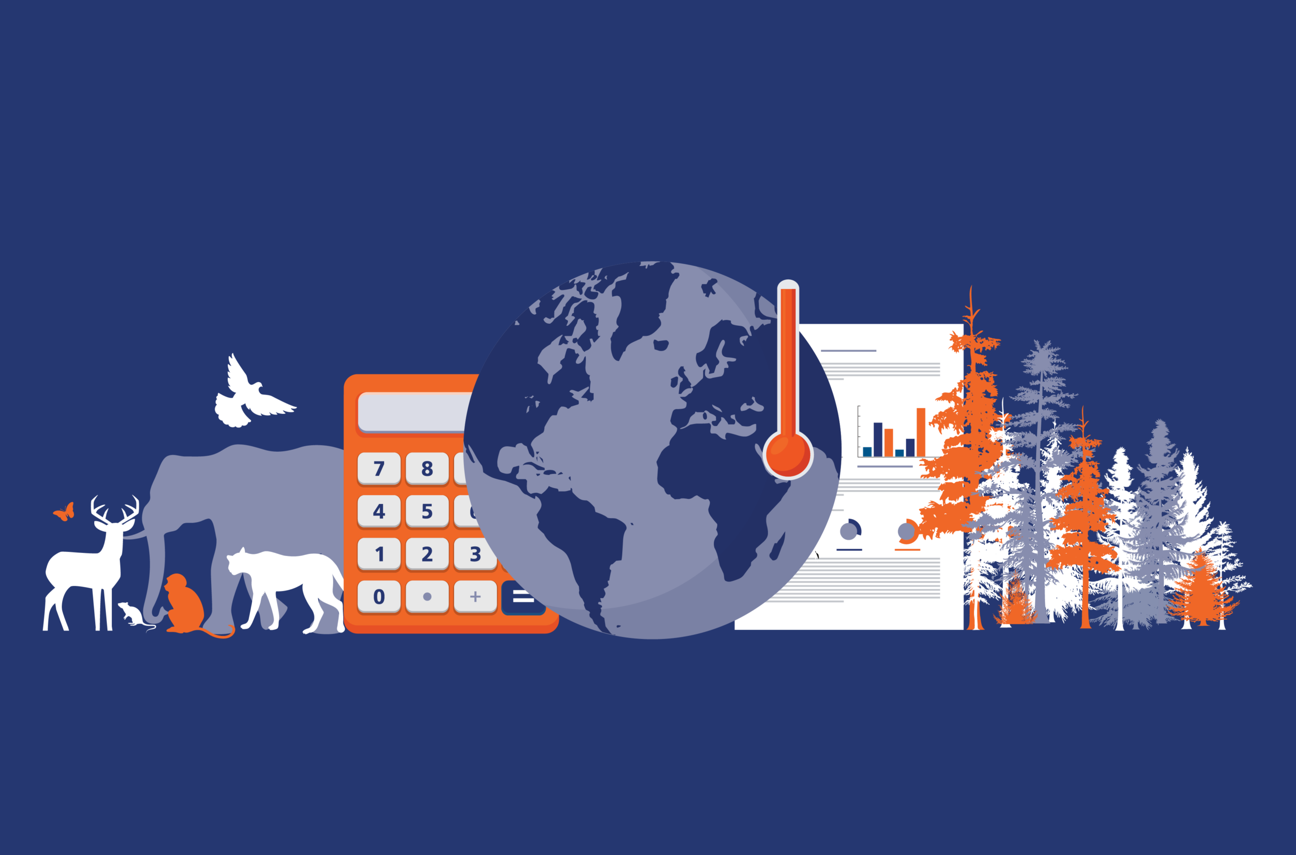 Specialization Feature Graphics_Environment