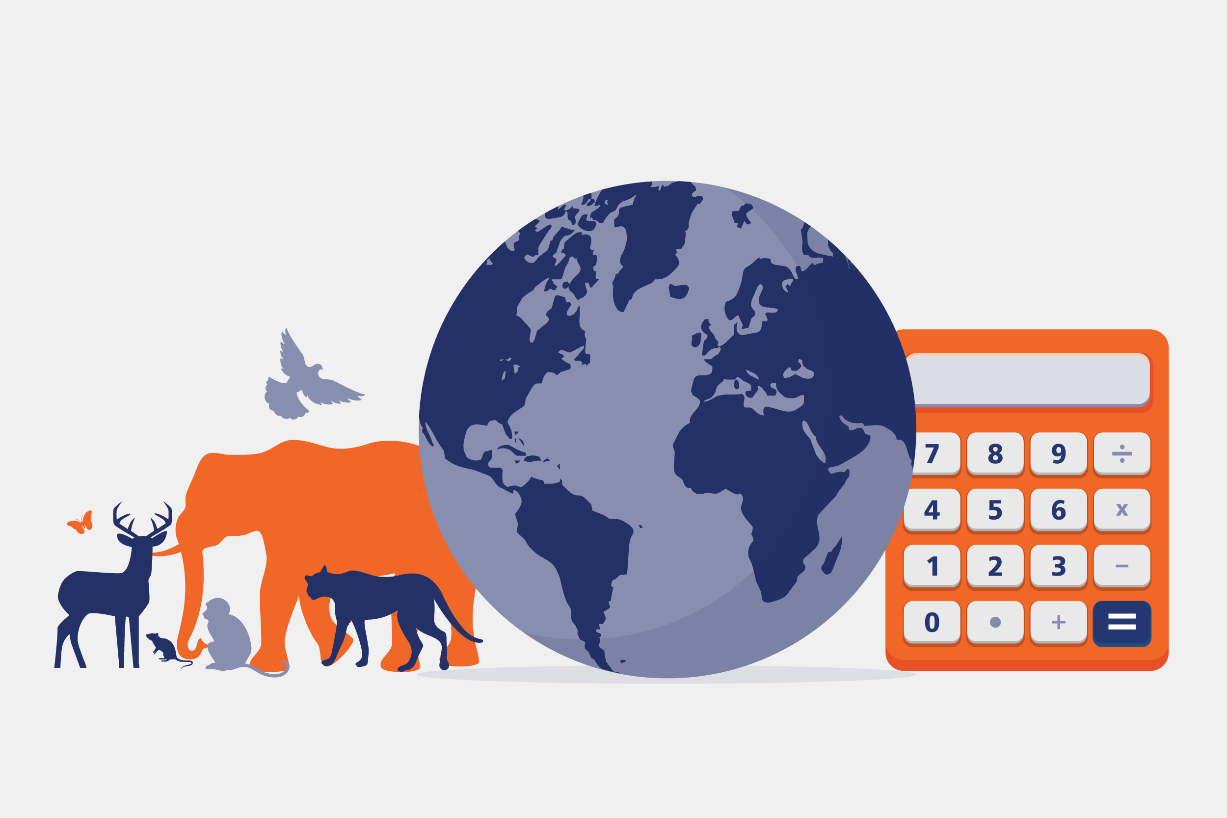 Specializations Broken Into Two Copy WHITE BACKGROUNDS-13